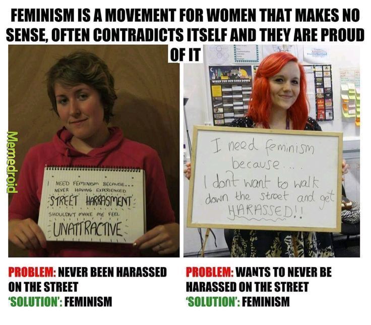 Feminists should fight each other - meme