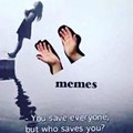 Memes save me and c