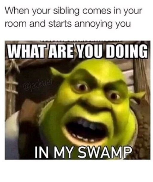 Swamp - meme