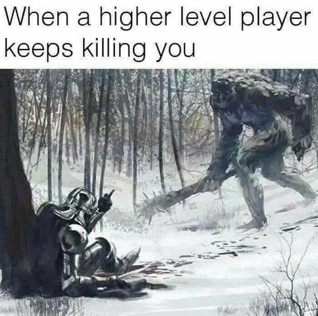 When a higher level player keeps killing you - meme