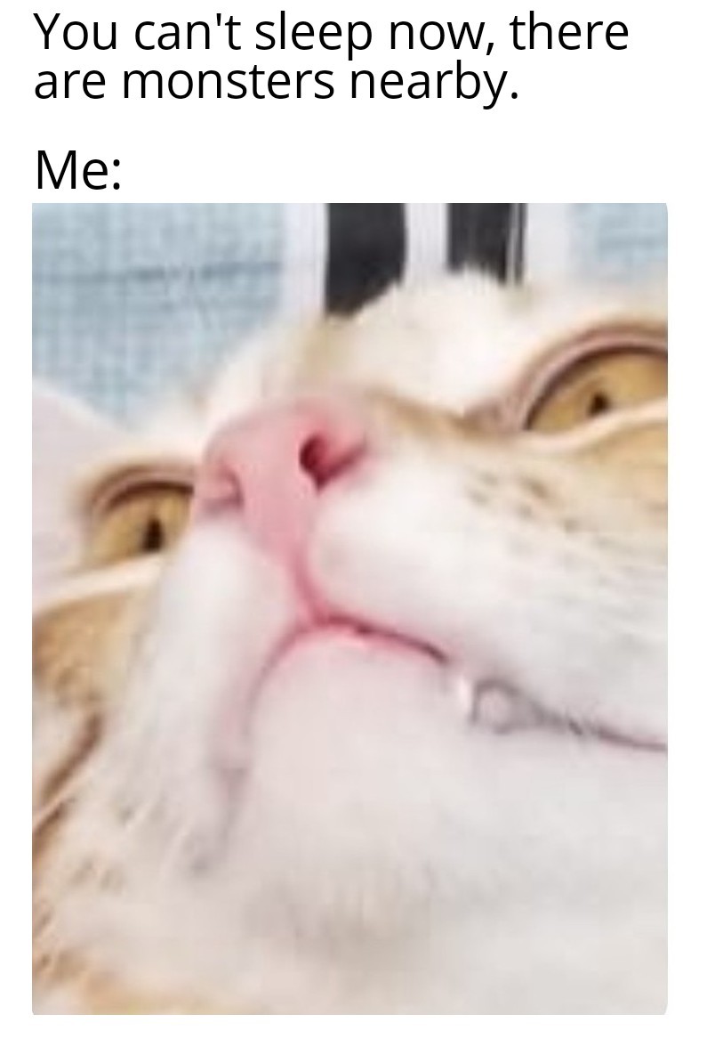 mad frustrated cat - meme