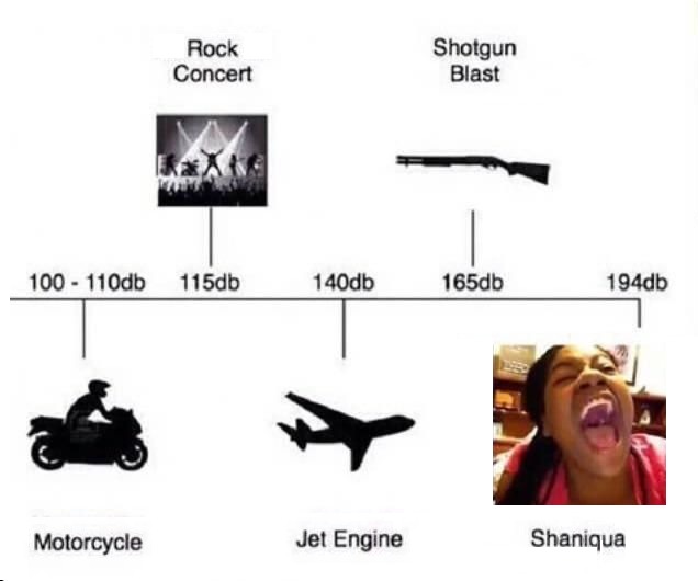 dongs in a decibel - meme