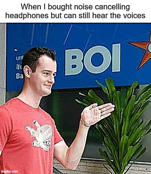 Noice cancelling headphones - meme