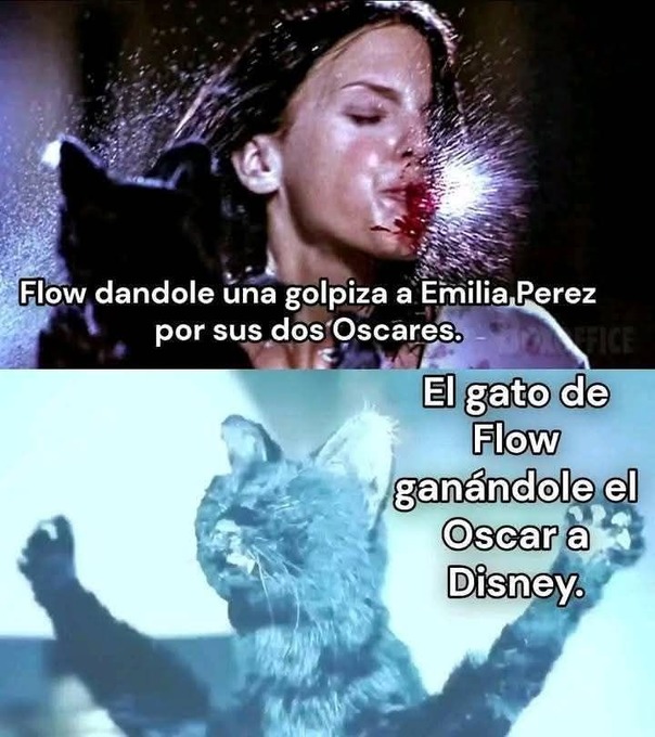 Flow es lo único bueno de los Oscars - meme