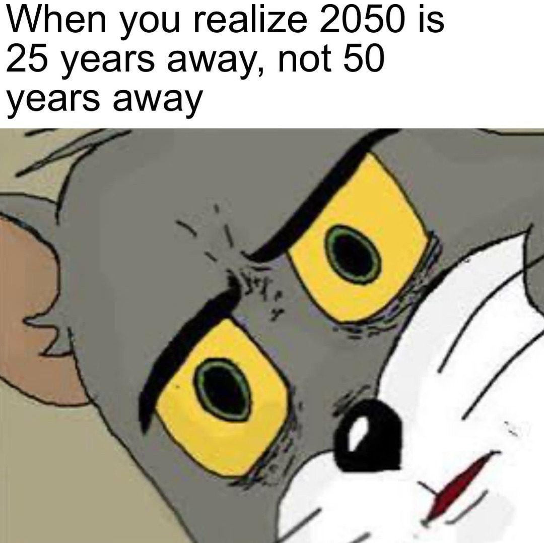 2050 is closer than we think... oh no - meme