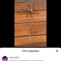 Arañas australianas