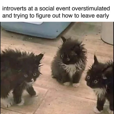 Introverts at a social event - meme