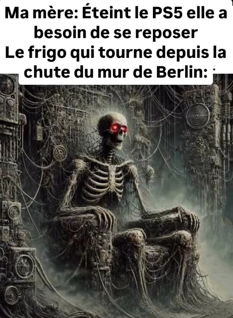 Ma mère veut que la PS5 se repose alors que le frigo c'est Terminator depuis 89 - meme