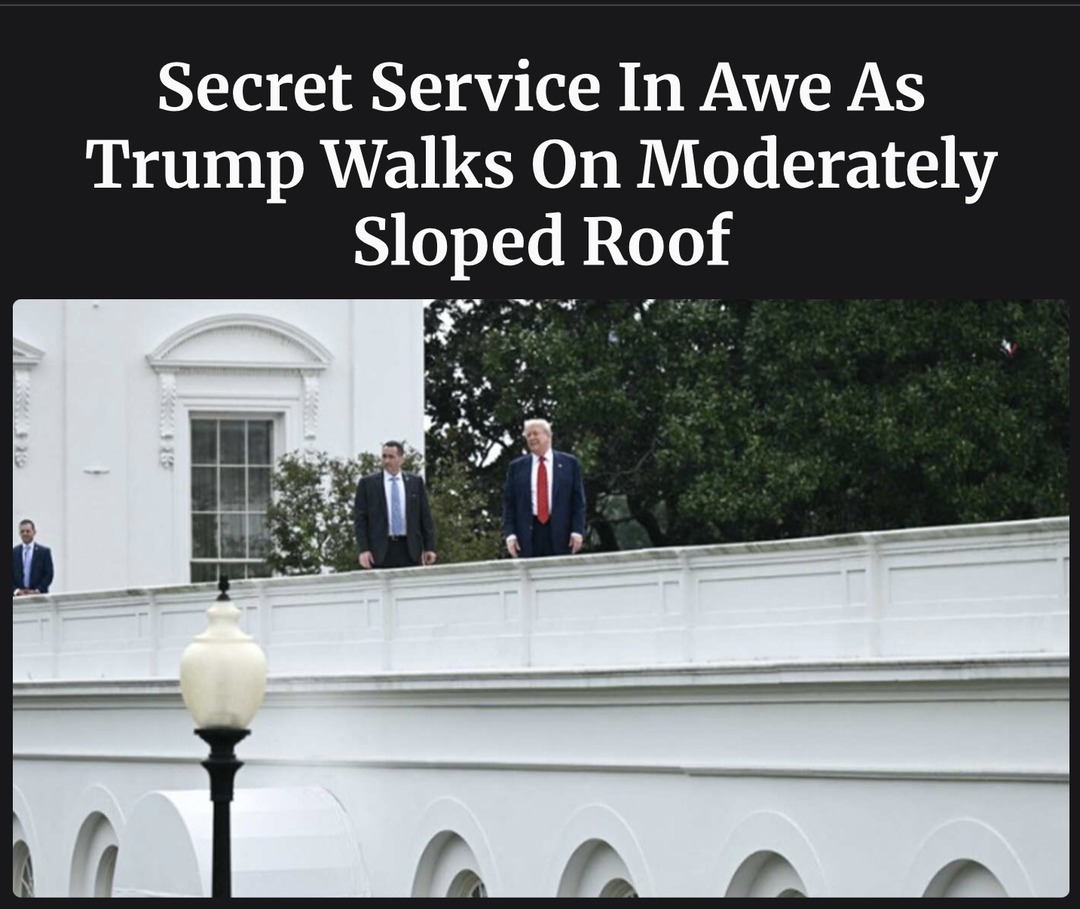 Trump 2028 - meme