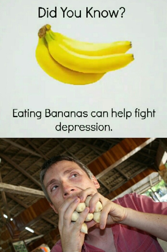 I don't know about you guys but i'm goig to go buy a ton of bananas - meme