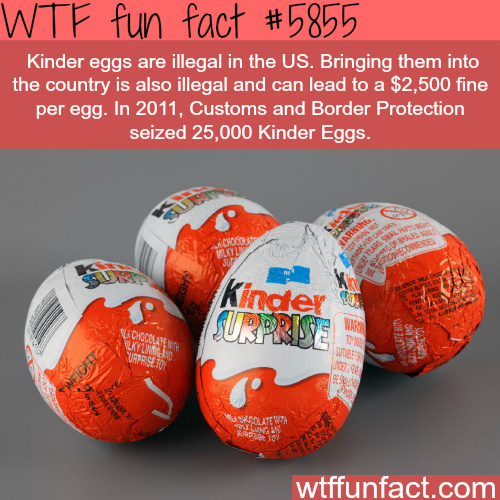 The Border Protection eat all 25000 kinder eggs - meme