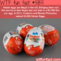 The Border Protection eat all 25000 kinder eggs