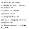 Butt-vagina