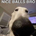 Nice balls Br0