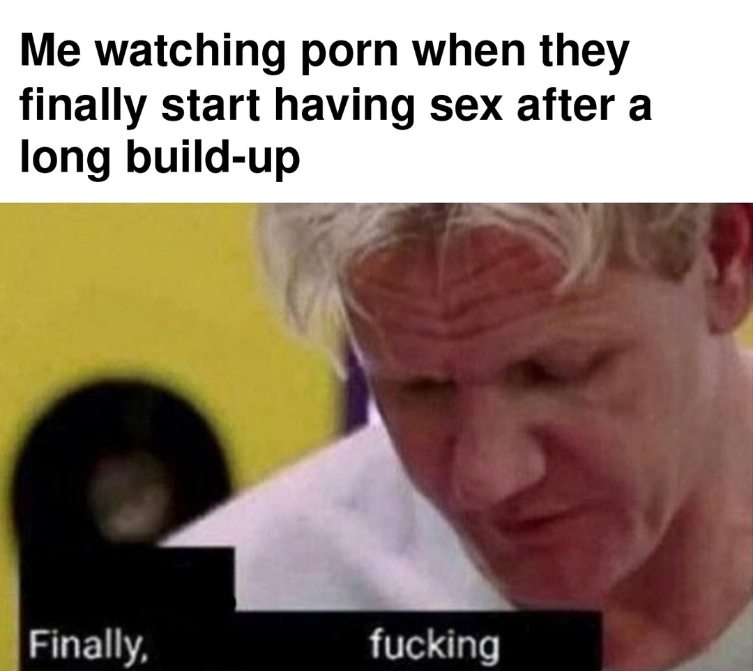 I watch porn for the story - meme