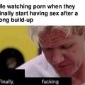 I watch porn for the story