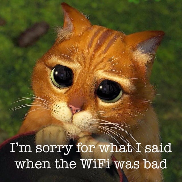 when wifi is bad - meme
