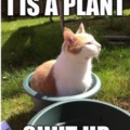 I IS A PLANT!!!!!!