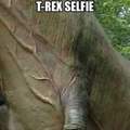 That's hoe selfie sticks were invented....