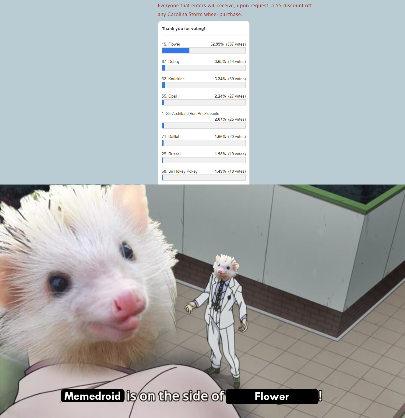 This lovely hedgehog is a Jojo's reference now. You're welcome. - meme