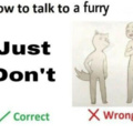 Nah...Some furries are actually nice
