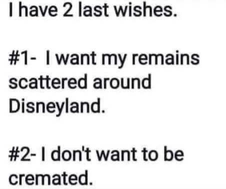 I want to go to Disneyland - meme