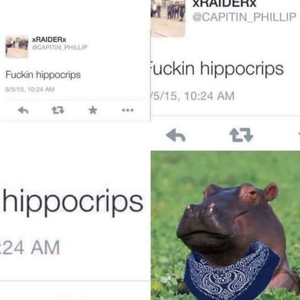 Fucking Hippocrips - meme
