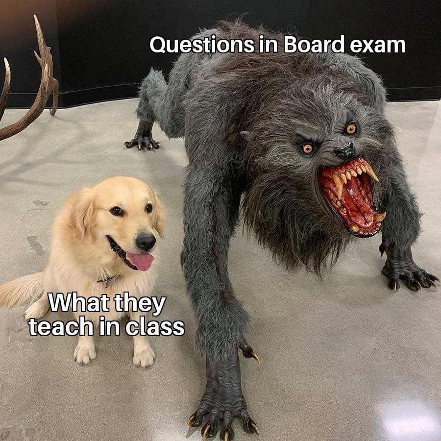 What they taught VS question in exam - meme