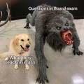 What they taught VS question in exam