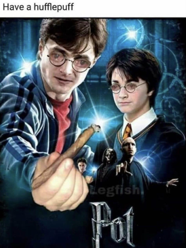 the real harry potter movie - meme
