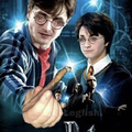 the real harry potter movie