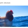 goofy ahh chicken