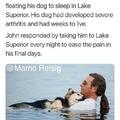 Dog Suffers From Arthritis
