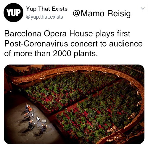 Opera House - meme