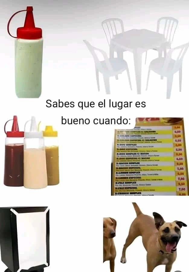 Perritos que saludan mientras te comes la burger - meme