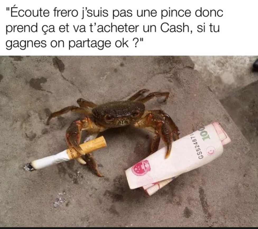 On partage frérot - meme