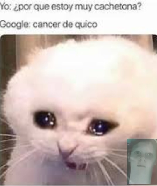 Noooo - meme