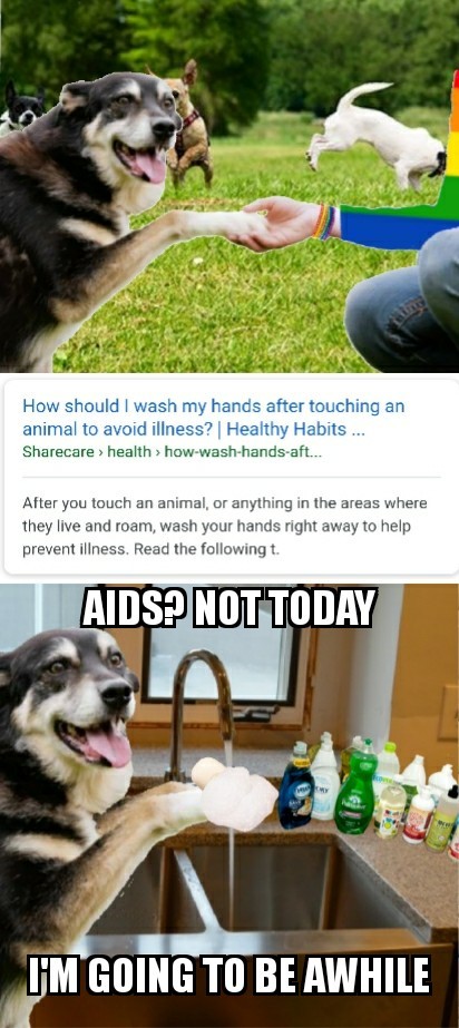 THE DOGS NOT THAT SMART I WOULD NEVER TOUCH A HOMOS DXCK BEATER - meme