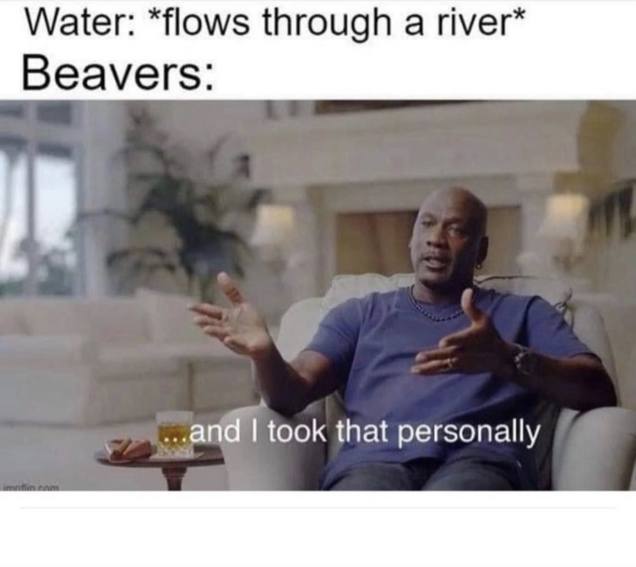 Dam beavers - meme