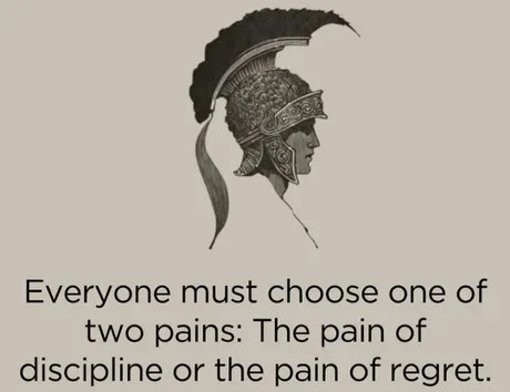 Choose the pain of discipline - meme