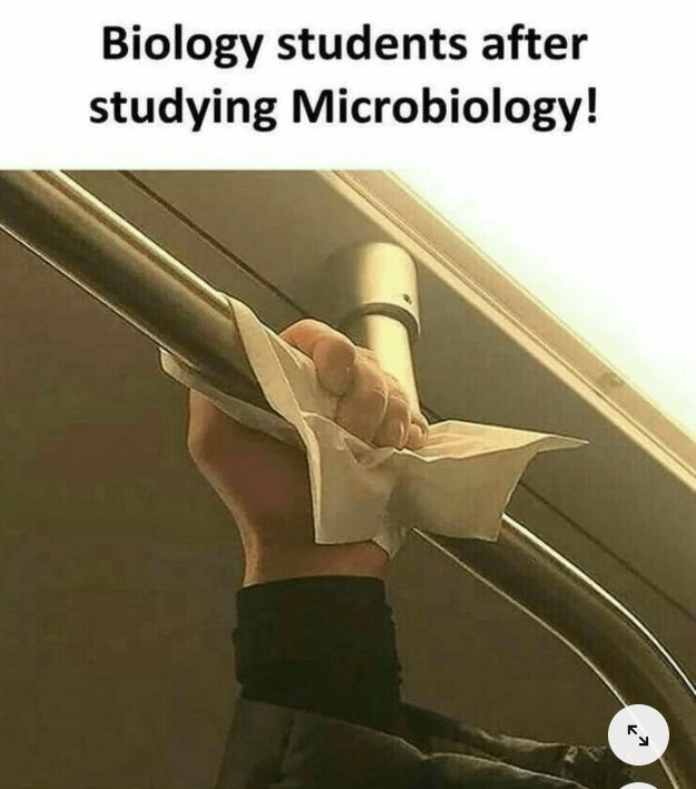 Biology students after studying Microbiology - meme