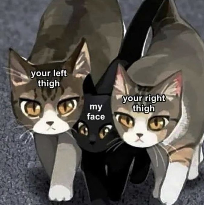 Kinky - meme