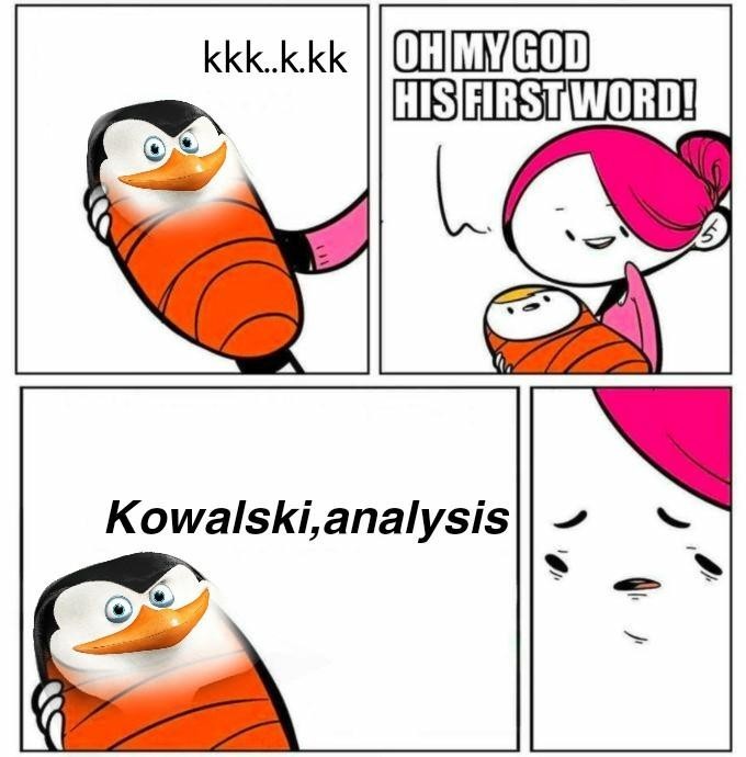 Kowalski, anal y sis - meme