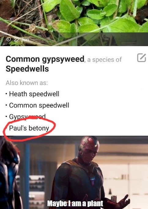 Paul Bettany is Vision - meme