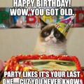 Happy birthday cat meme