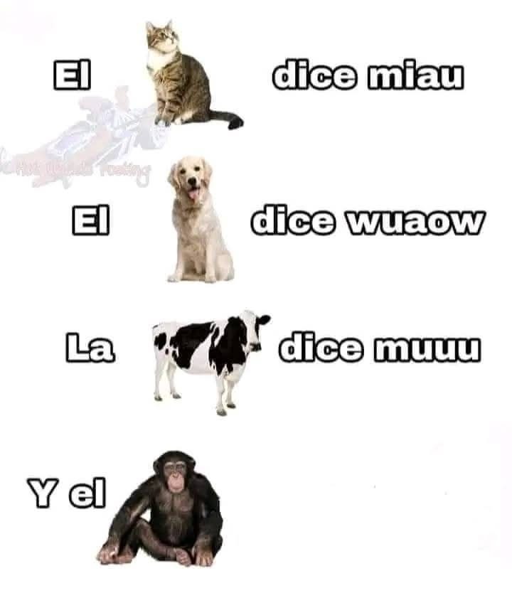 El mono dice - meme