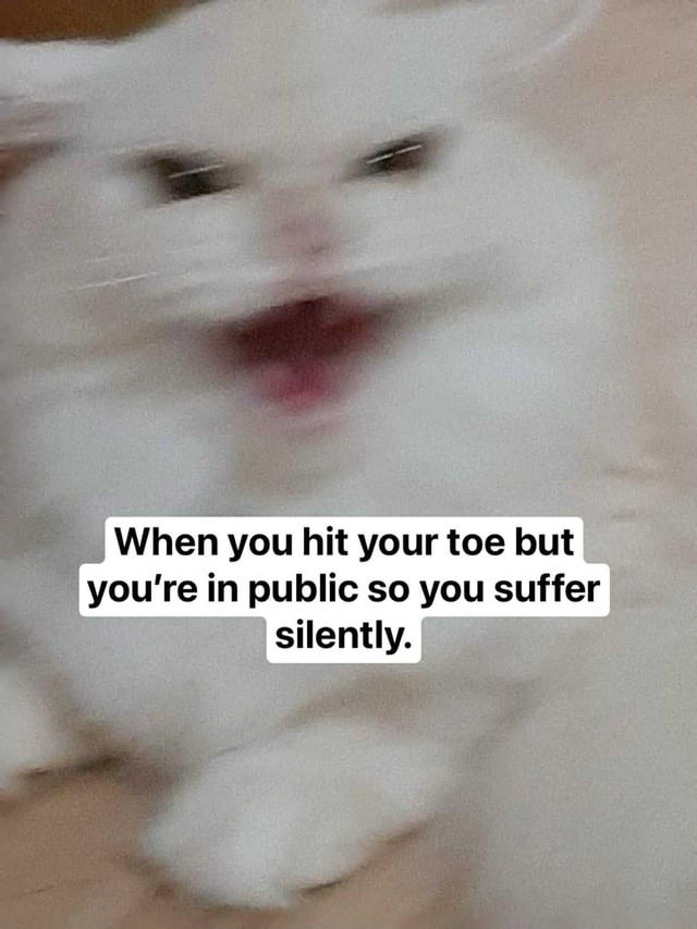 Stub your toe in public, suffer in silence - meme