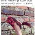 What a cock!