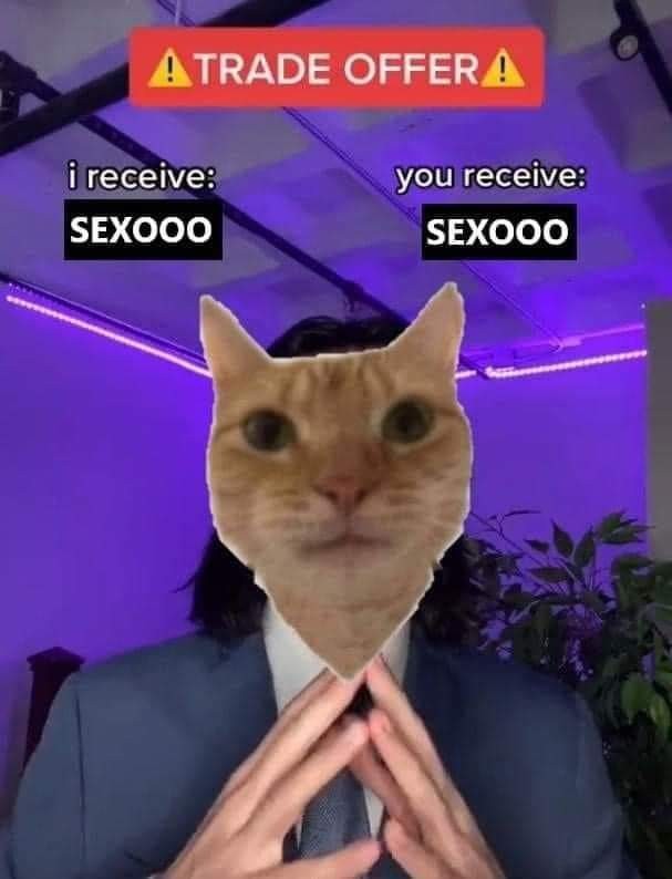 Gato sexo - meme