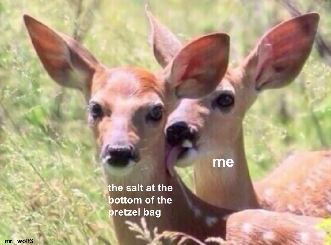 salt is gud - meme